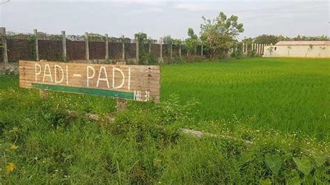 pais portal|PADIS .